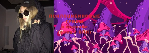 молекула духа Алексин
