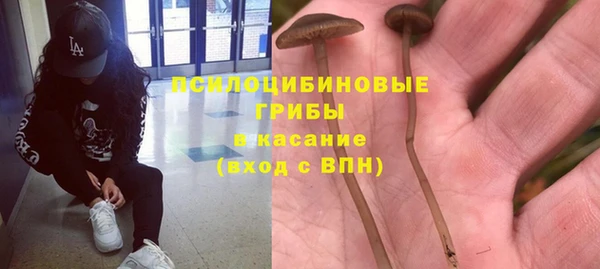 молекула духа Алексин
