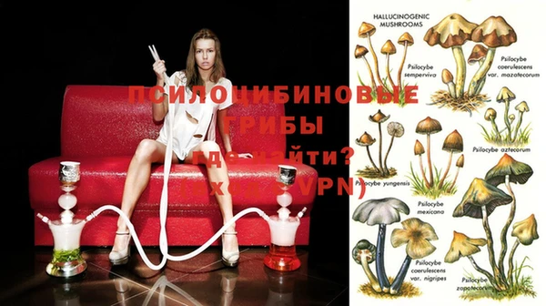 каннабис Новозыбков
