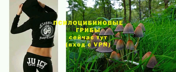 PSILOCYBIN Алексеевка