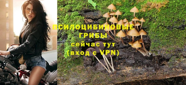 PSILOCYBIN Алексеевка