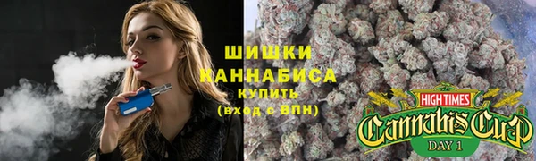 амф Алзамай