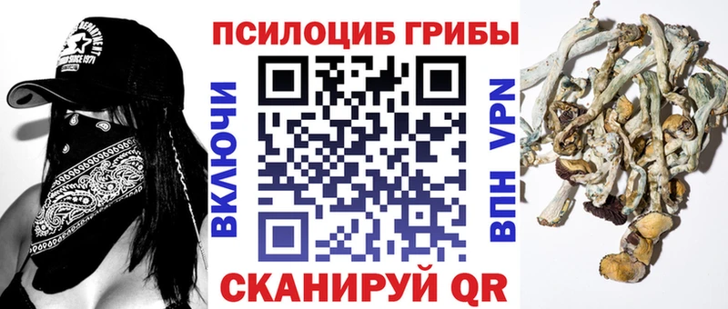 Галлюциногенные грибы Psilocybe  Харовск 
